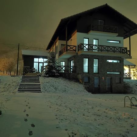 Pensiunea La Nenea Iancu Pianu de Sus Экстерьер фото