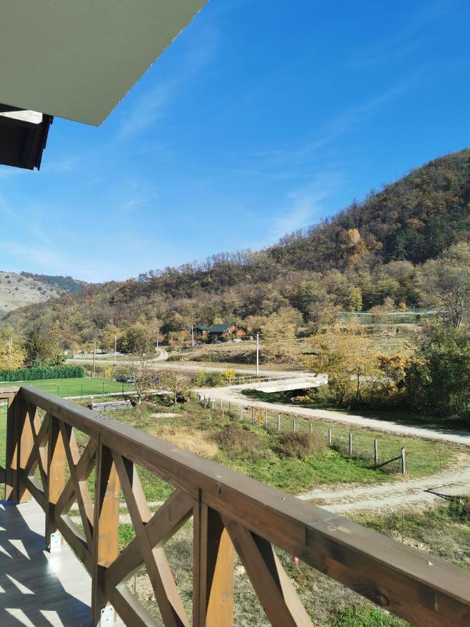 Pensiunea La Nenea Iancu Pianu de Sus Экстерьер фото