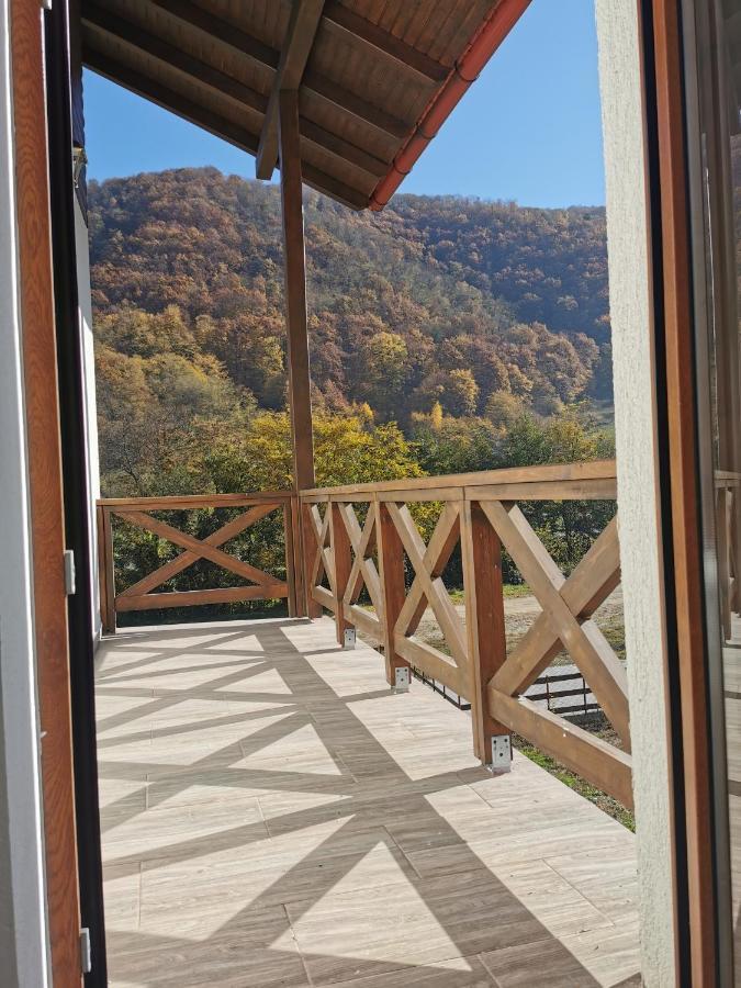 Pensiunea La Nenea Iancu Pianu de Sus Экстерьер фото