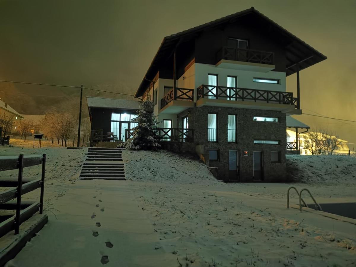 Pensiunea La Nenea Iancu Pianu de Sus Экстерьер фото