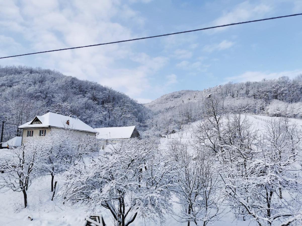 Pensiunea La Nenea Iancu Pianu de Sus Экстерьер фото