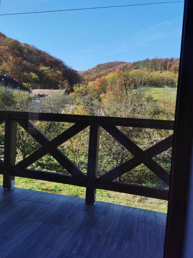 Pensiunea La Nenea Iancu Pianu de Sus Экстерьер фото